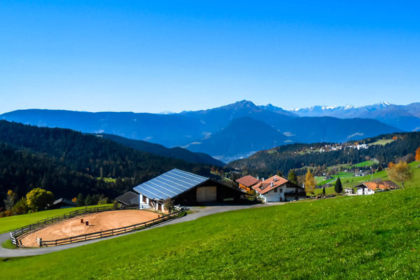 Obermichelerhof Reitplatz