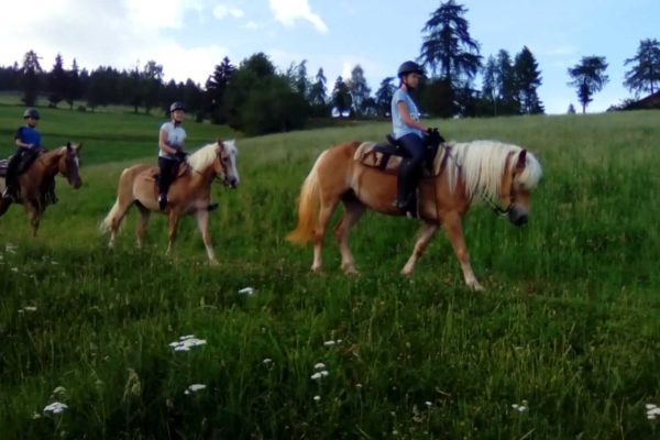 reiten-am-bauernhof-meran